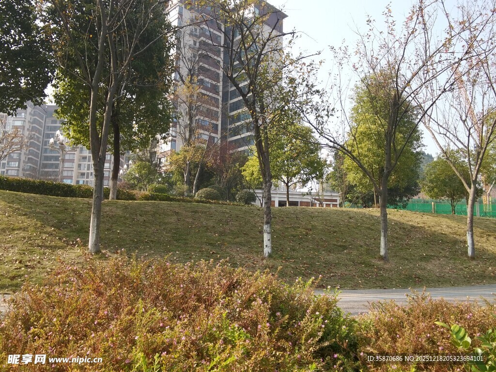 秋日城市公园景观