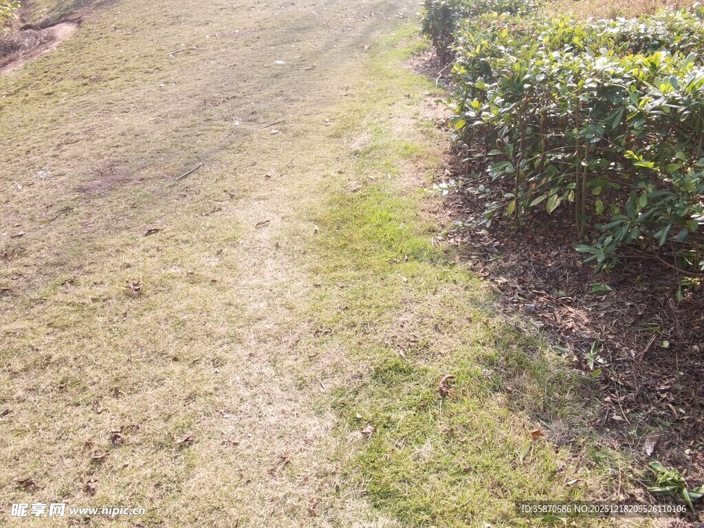户外草地小径景观