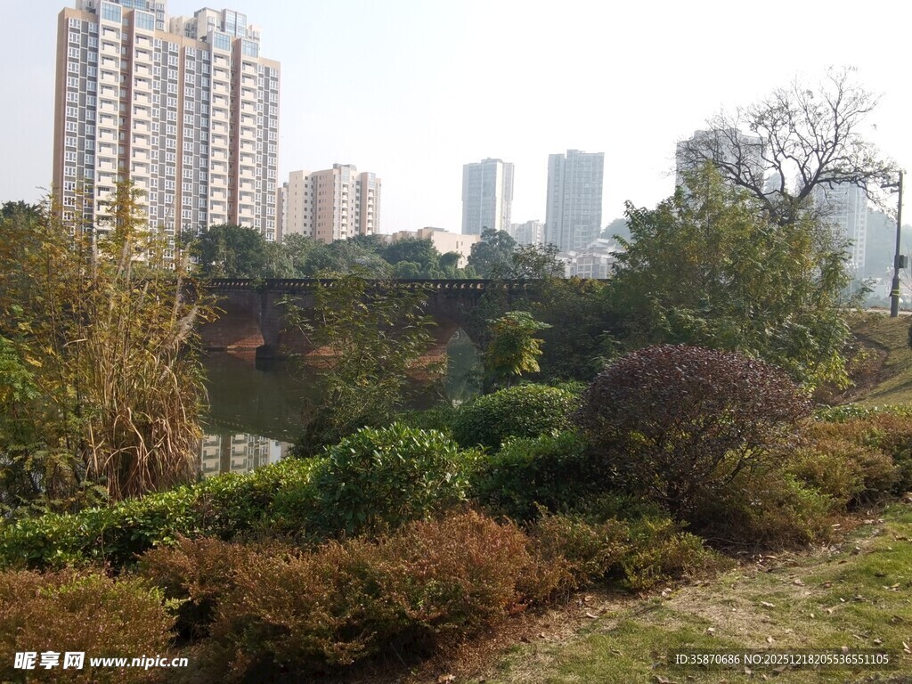 城市中的静谧园林景观