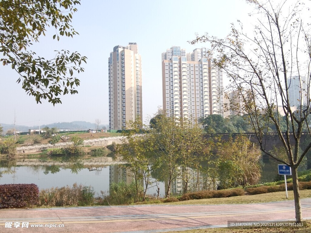 湖畔高楼与绿树景观