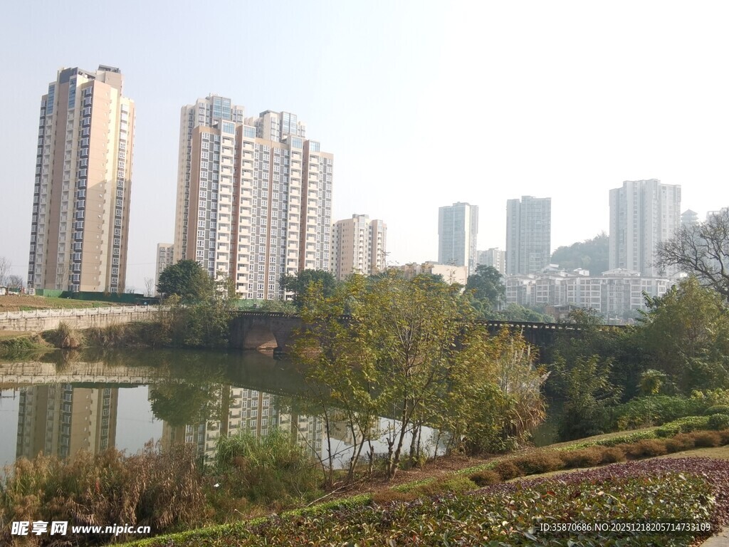 湖畔高楼与绿植景观