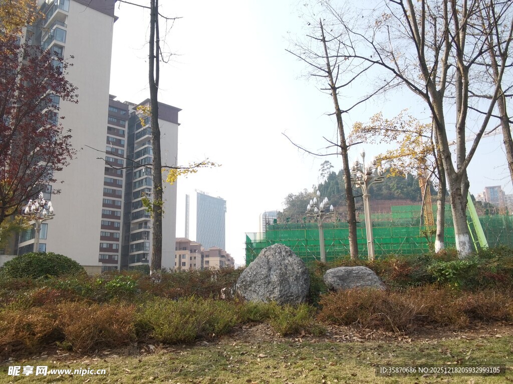 城市中草地树木与高楼景观