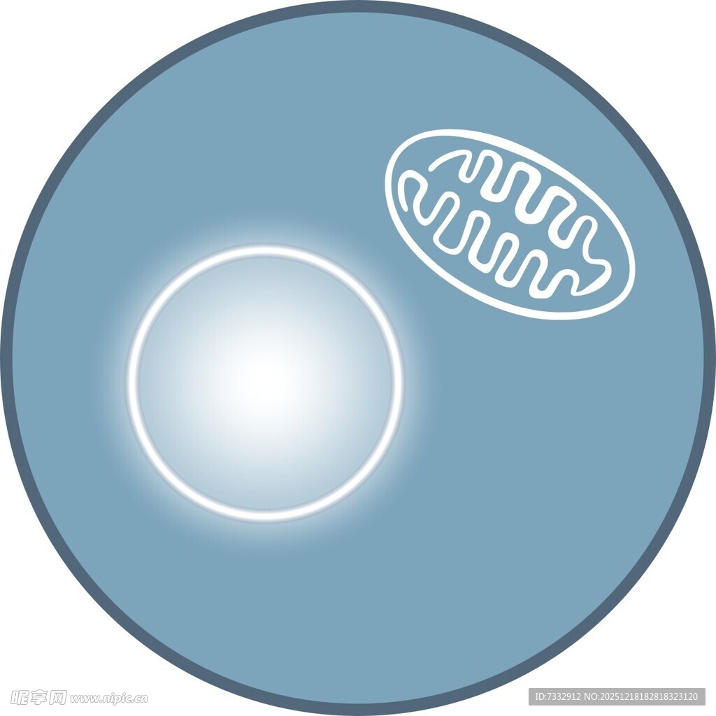 蓝色圆形图案带品牌标识