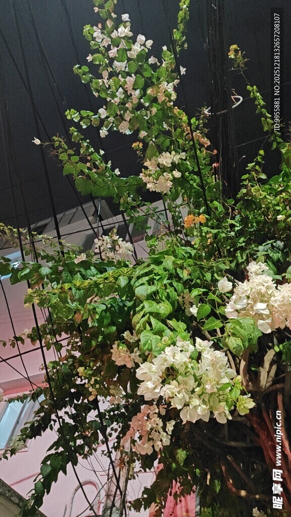 越南芽庄繁茂绿植花丛景观