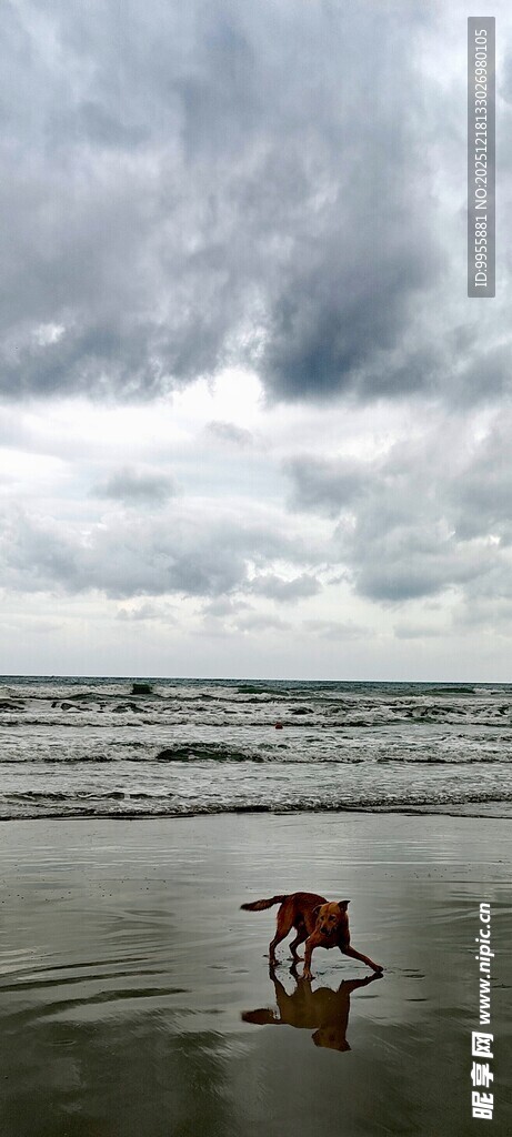 越南芽庄海滩上的孤独红色椅子