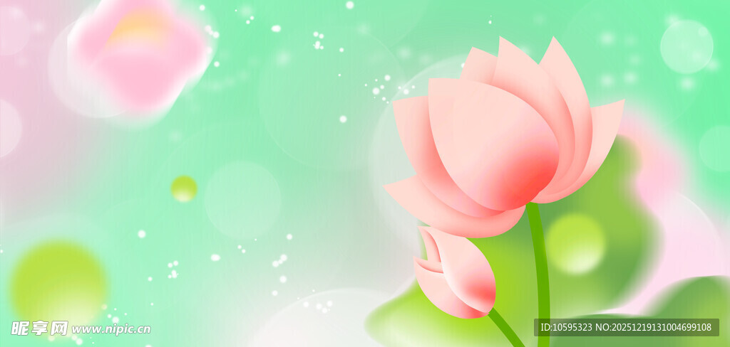 粉色荷花绽放于清新背景