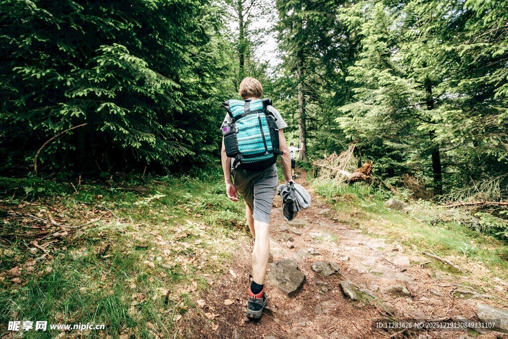 徒步者穿行于林间小道