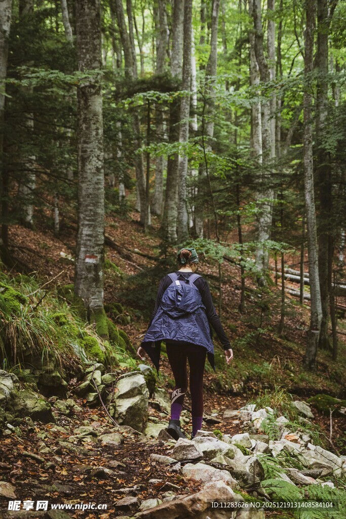 徒步者穿行于茂密森林中