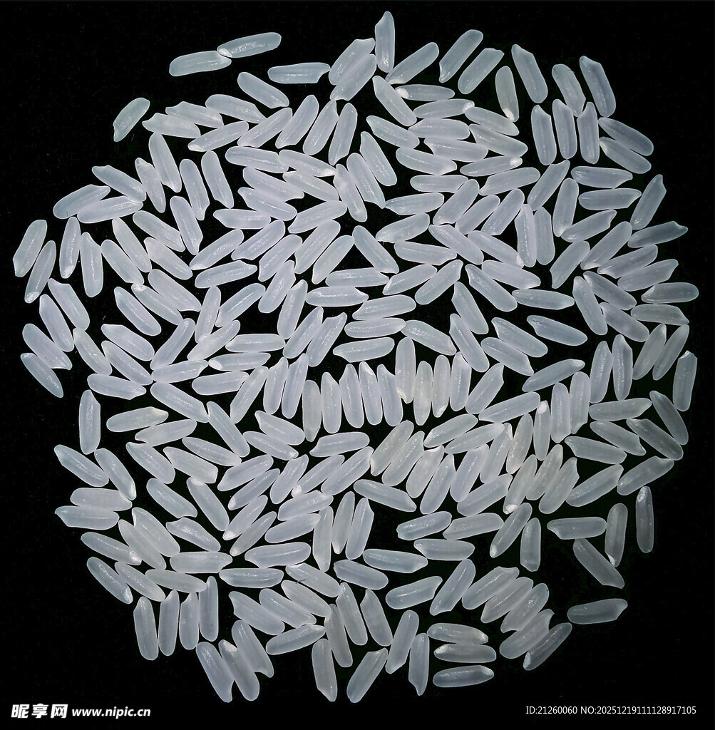 优质长粒香大米特写