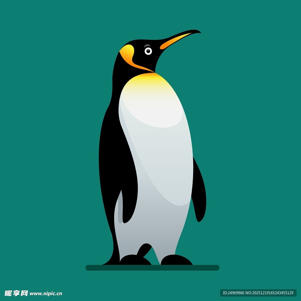 站立的可爱企鹅