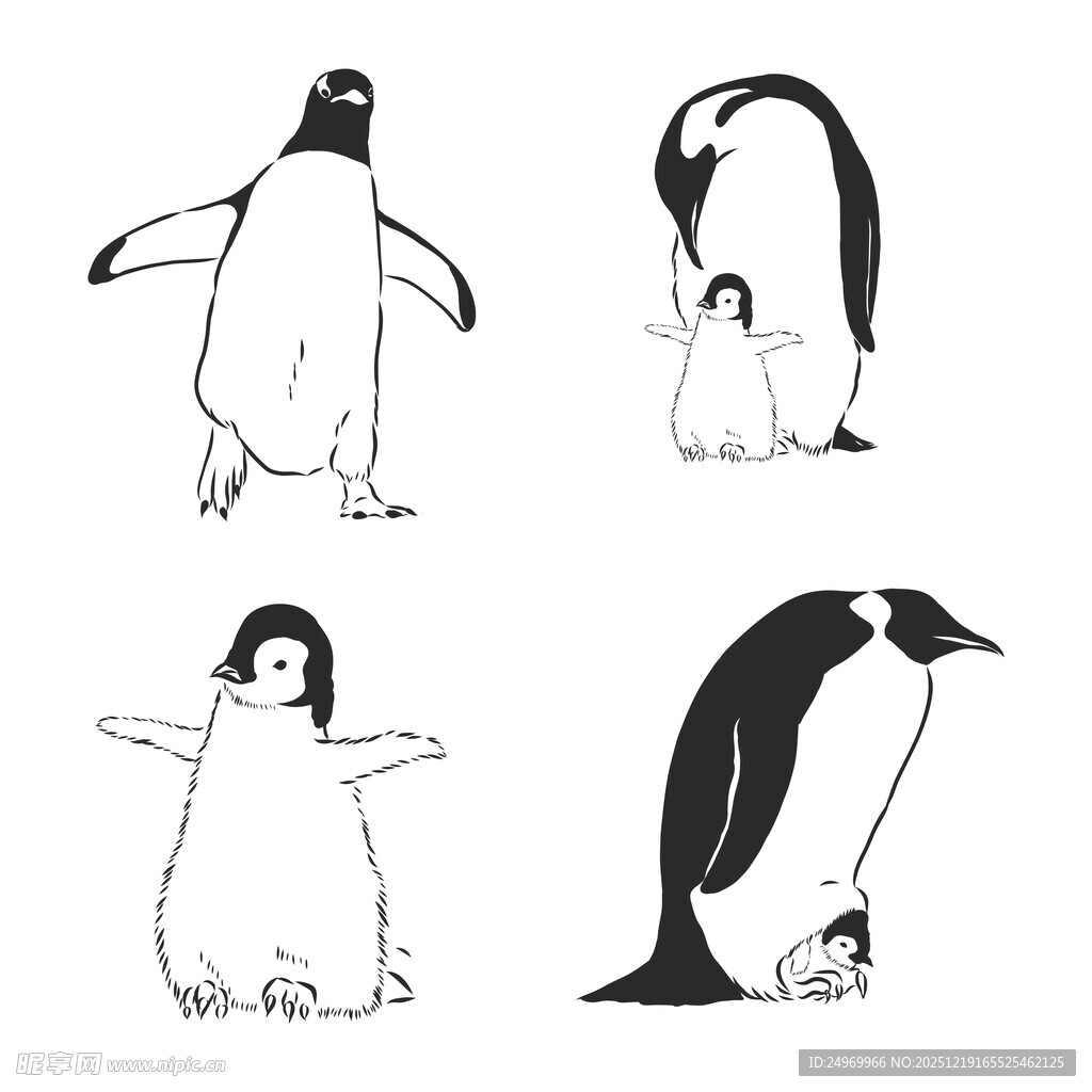 企鹅姿态插画集合