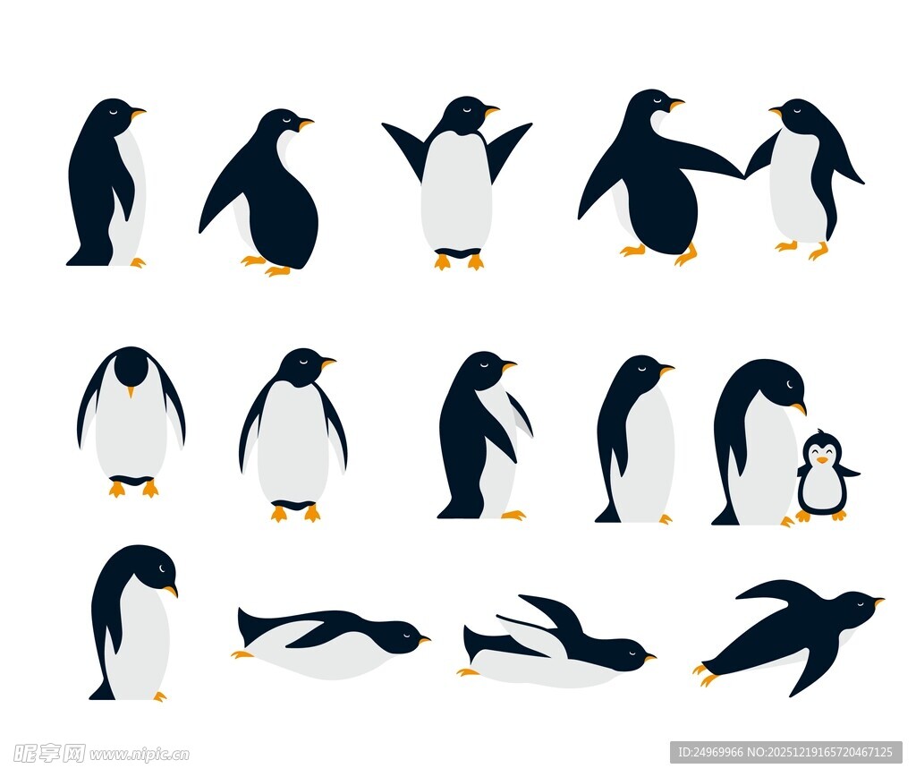 多样姿态企鹅插画集合