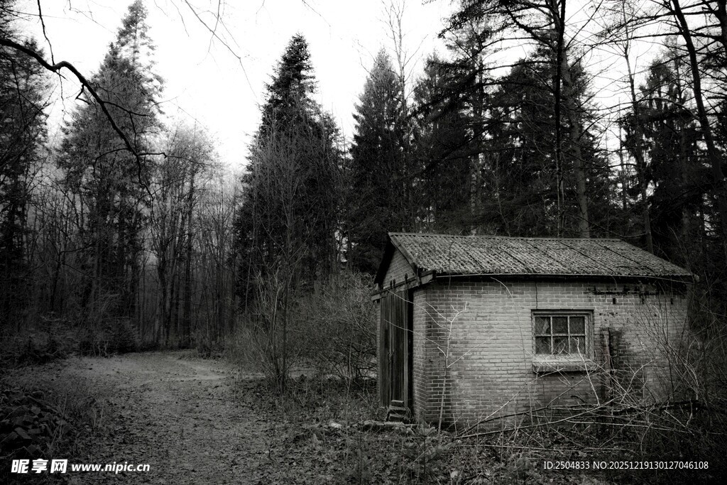 林间小屋 静谧的自然角落