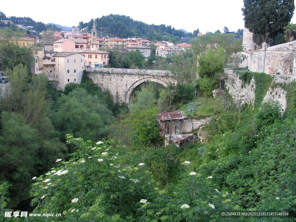 山间古桥与繁茂植被景观