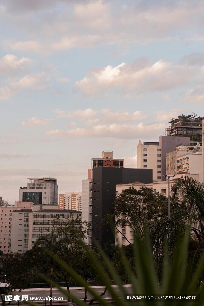 城市天际线与绿植景观