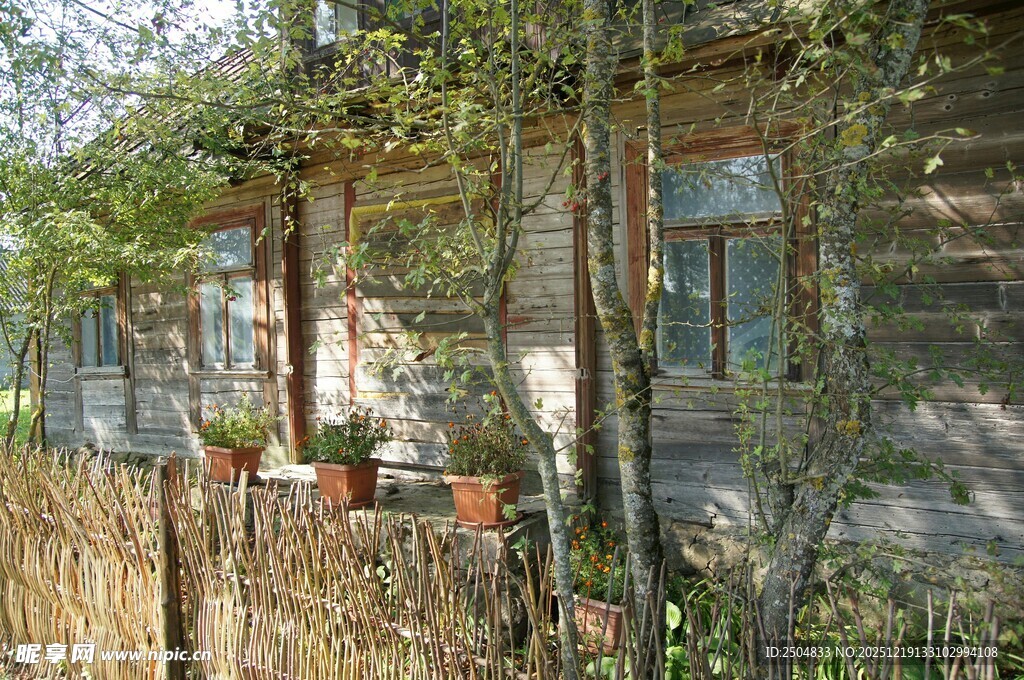 老旧木屋隐于绿植之间