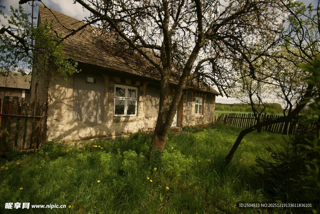 乡村旧屋旁的繁茂草木