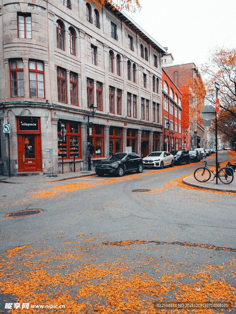 秋日街道旁的欧式建筑