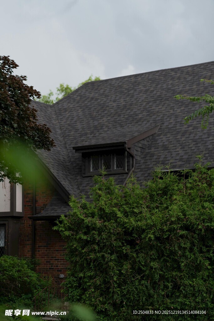 绿荫环绕的古朴房屋