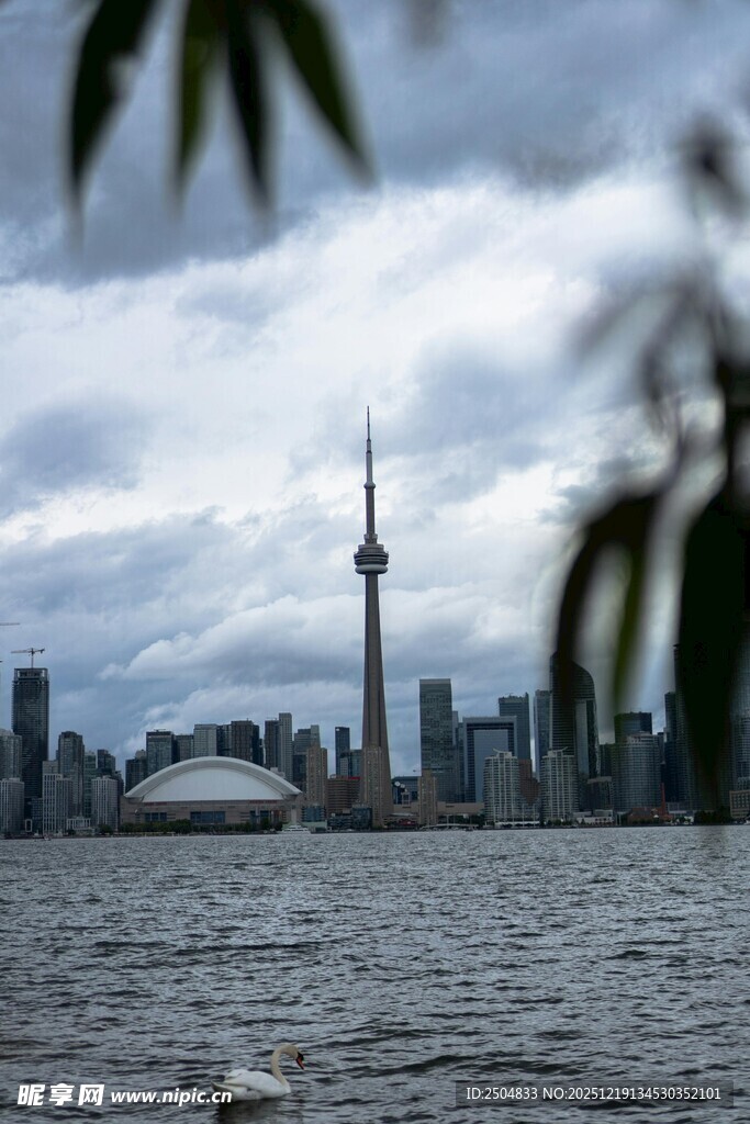 多伦多城市天际线景观