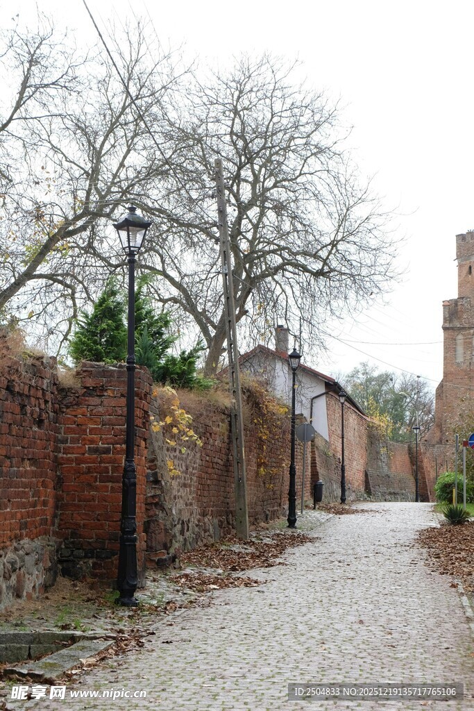 古老砖墙旁的幽静小道