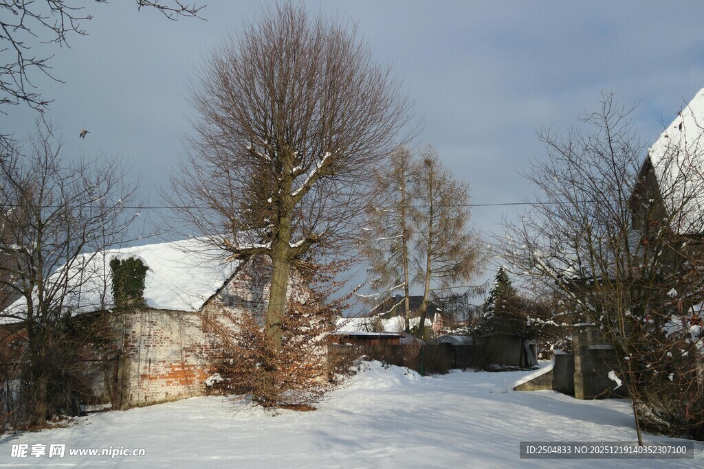 冬日乡村雪景静谧风光
