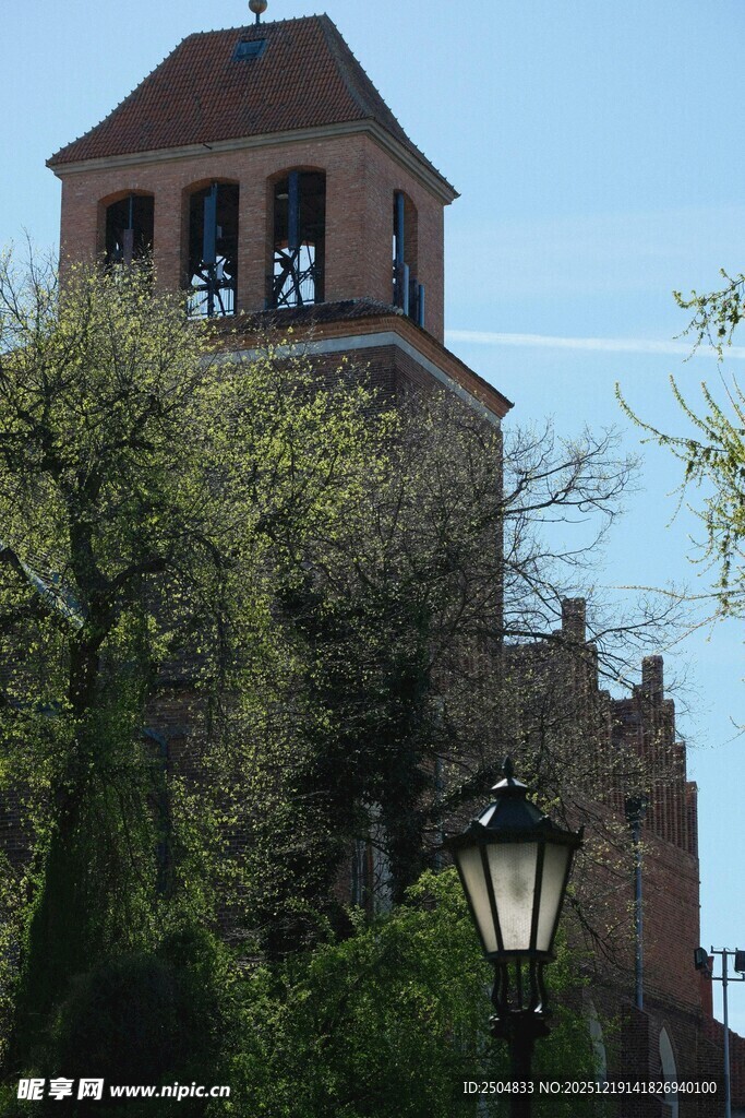 古老钟楼旁的街灯与绿树