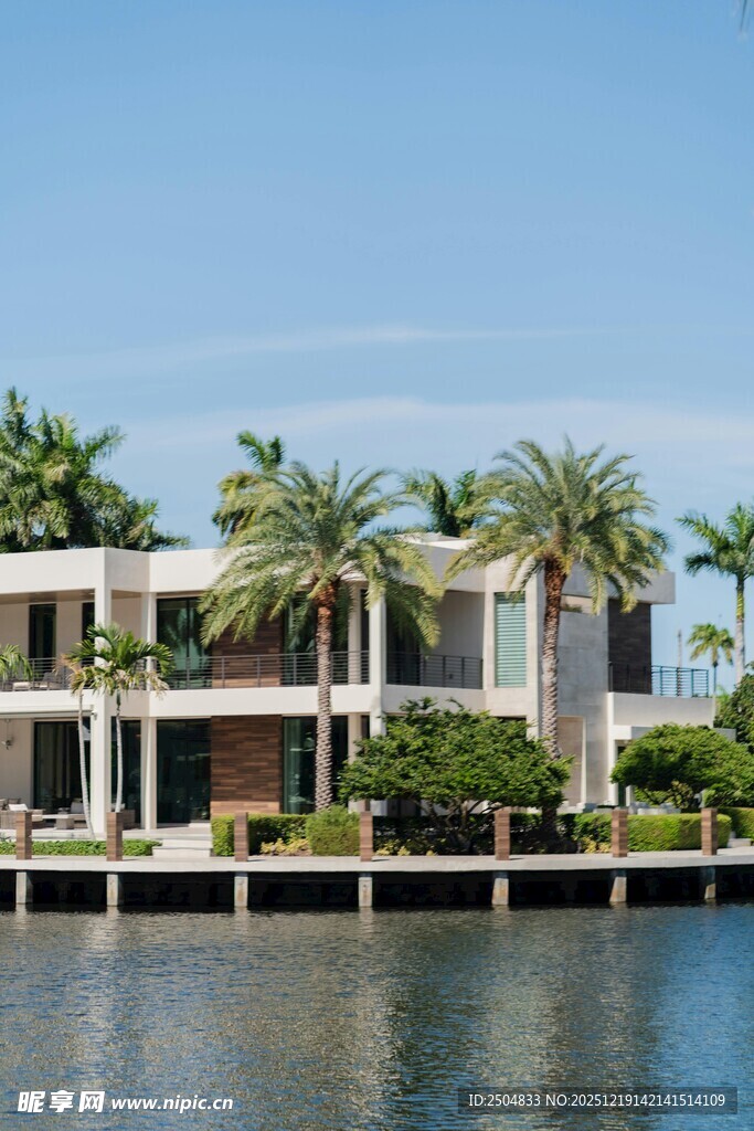 临水现代别墅与棕榈树景观