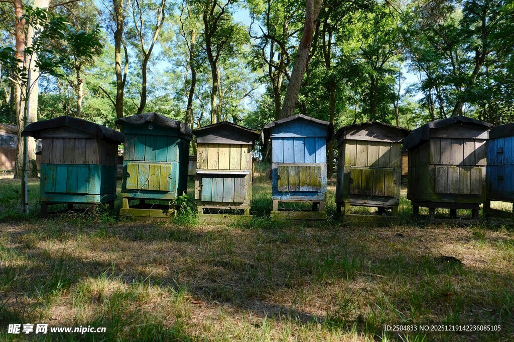 户外排列的多彩小木屋