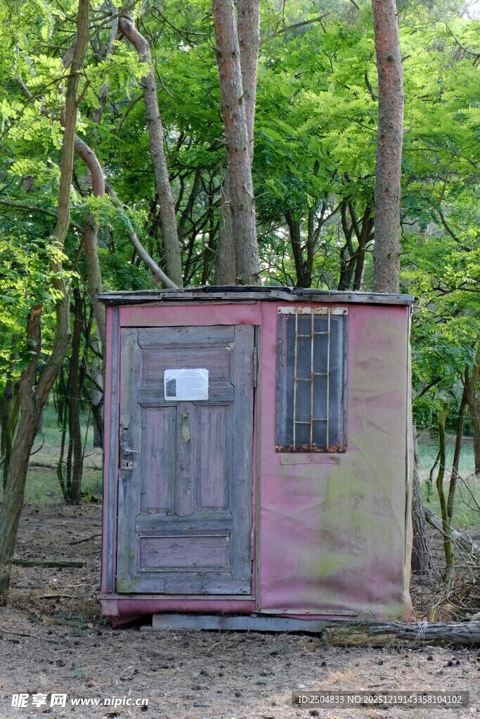树林中的老旧金属小屋