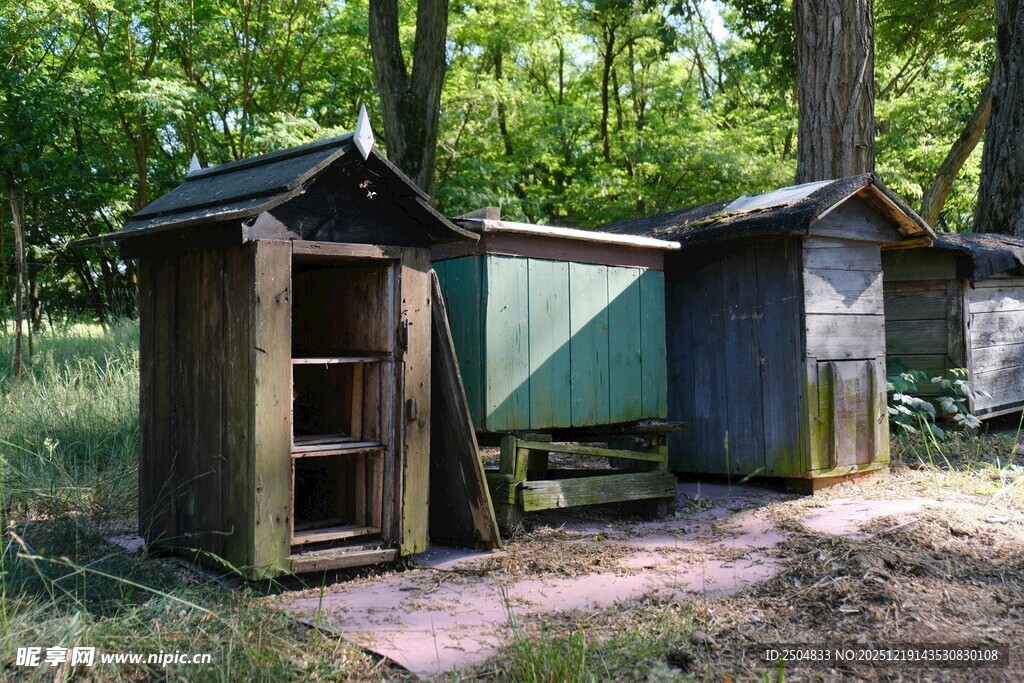 林间古朴小木屋
