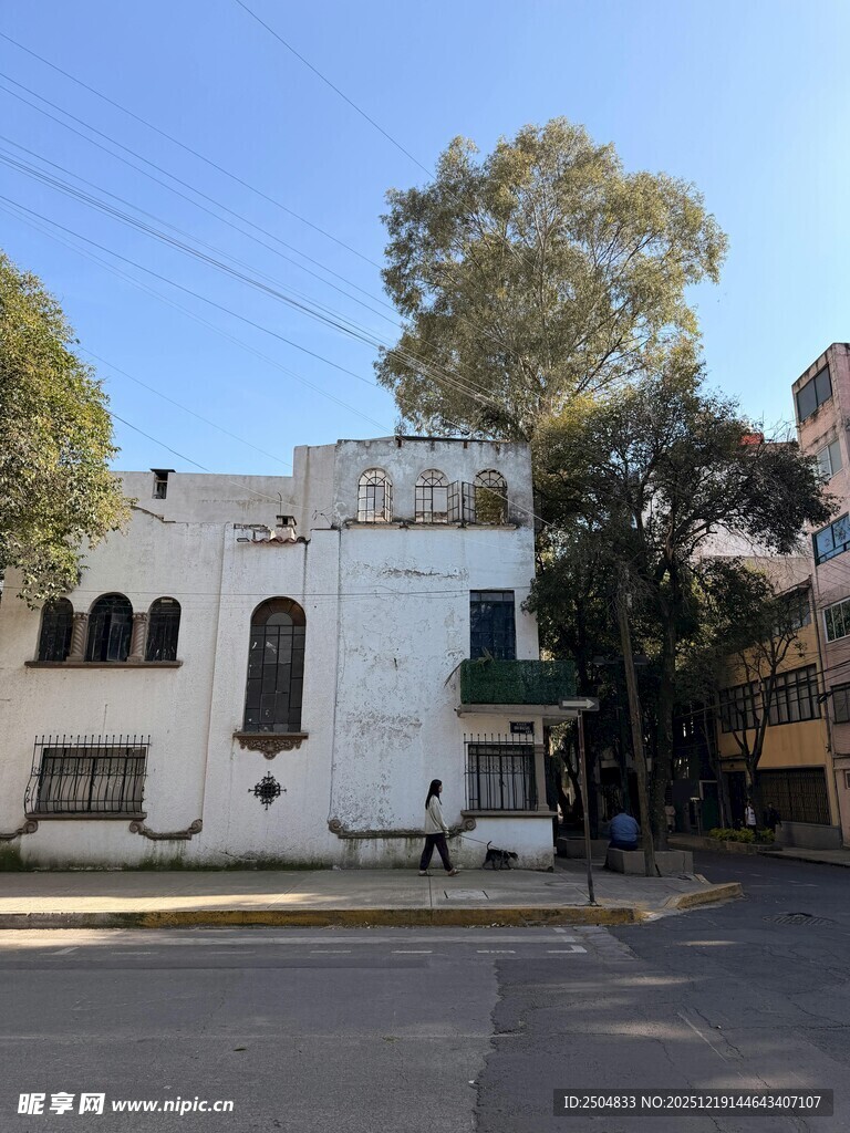 街边白色建筑与绿树相映