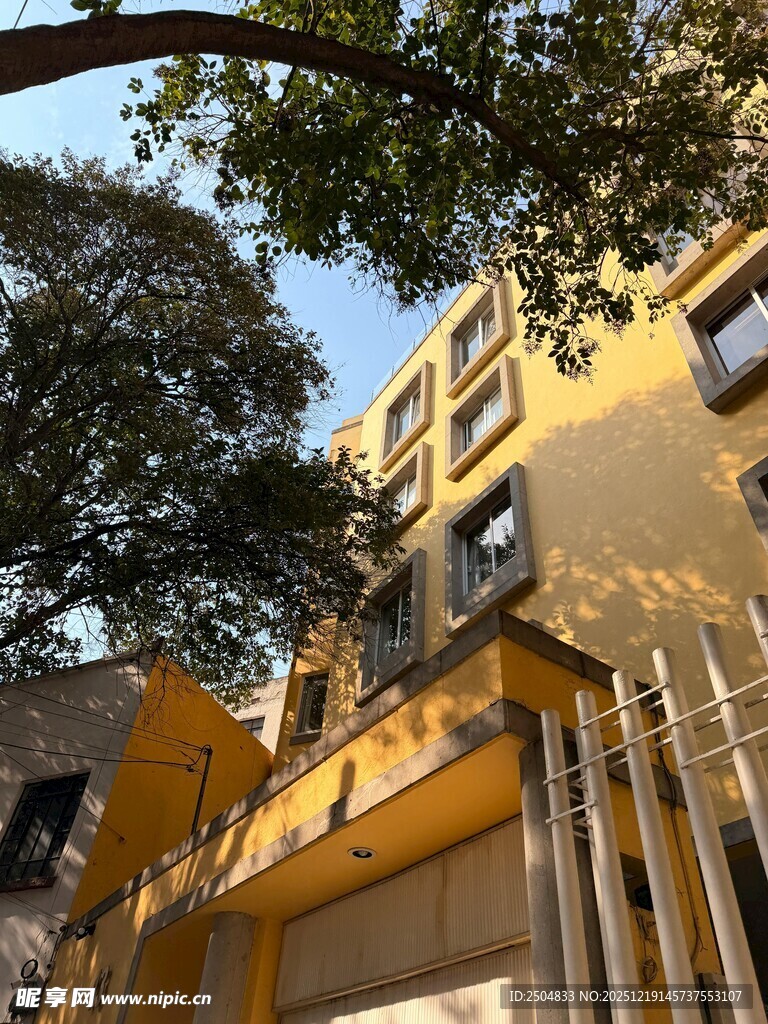 黄色建筑旁的绿植与围栏