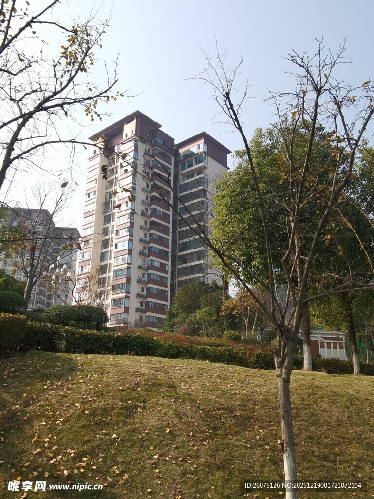 城市住宅区旁的绿地景观