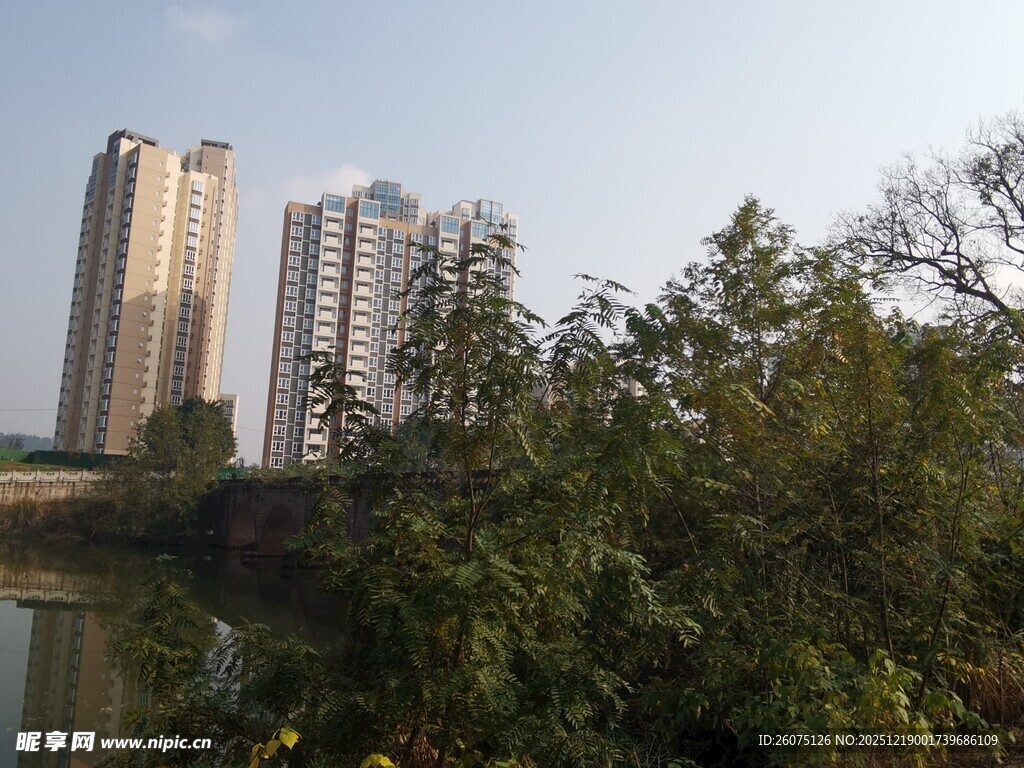 河畔高楼与葱郁树木景观