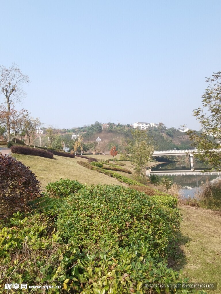 湖畔绿意盎然的美丽景致