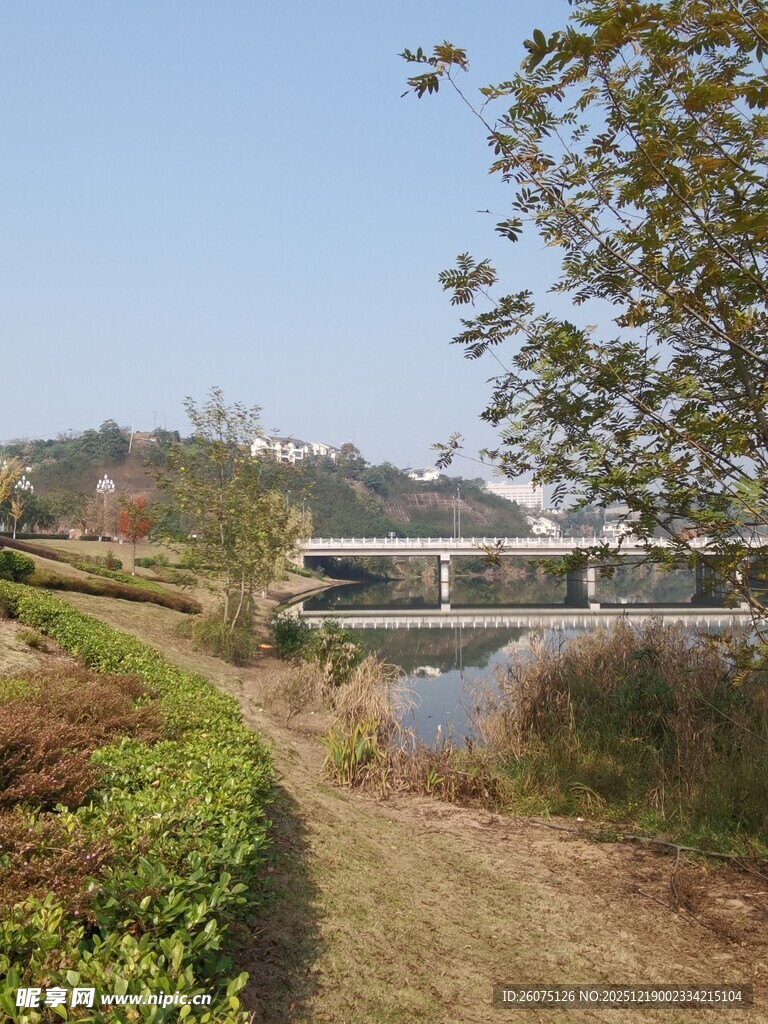 河畔风景自然与建筑之美