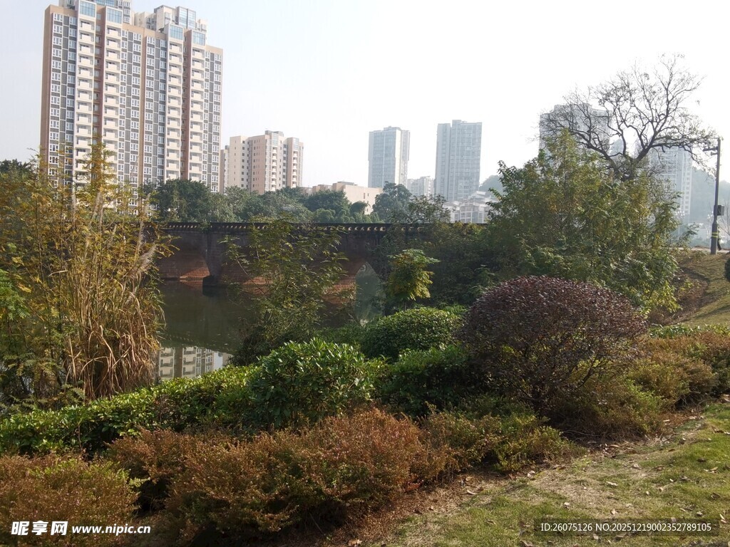 城市公园内的绿植与建筑景观