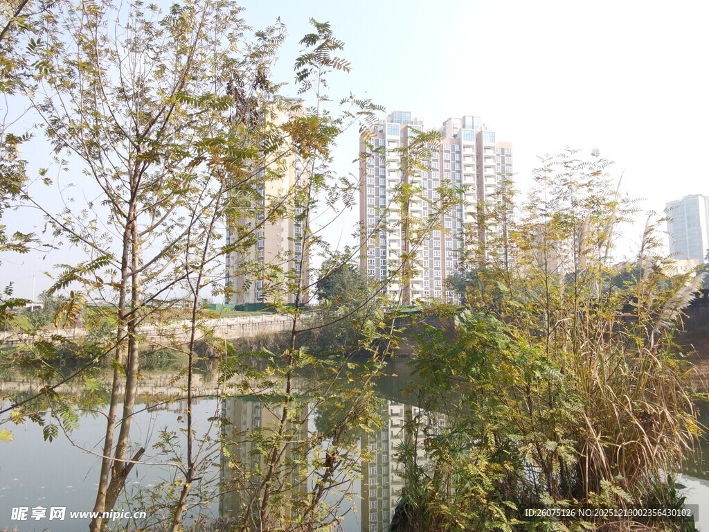 湖畔城市风光绿植环绕