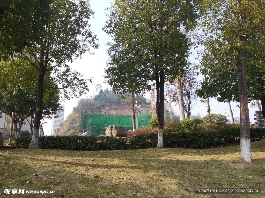 户外绿意盎然的休闲场景