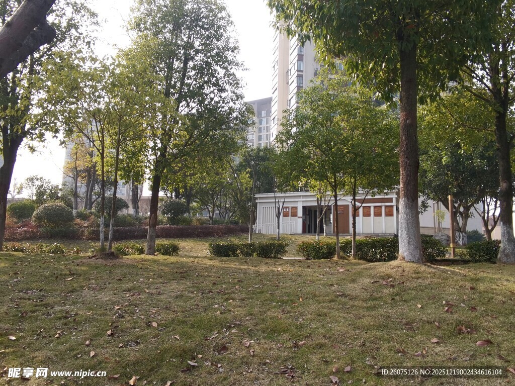 城市公园中的静谧景致