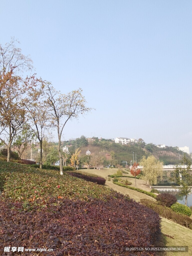 秋日公园多彩景致