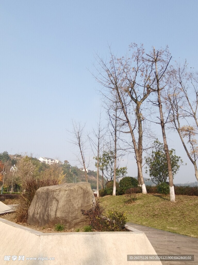 户外宁静的自然景观