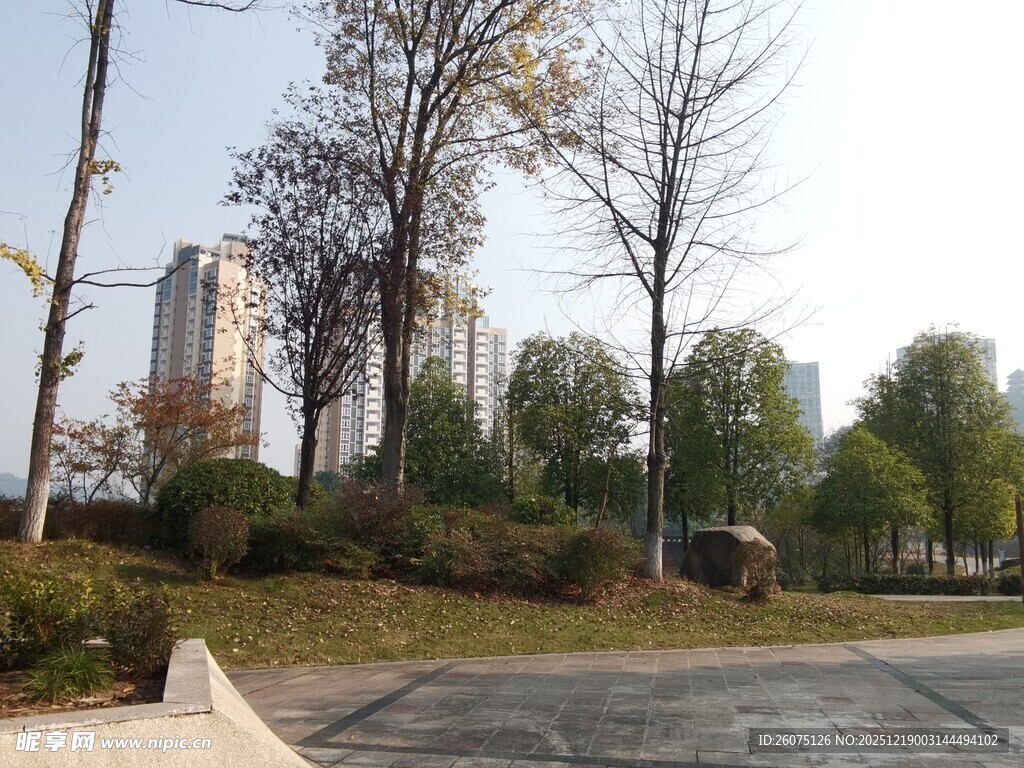 城市中的宁静户外景致