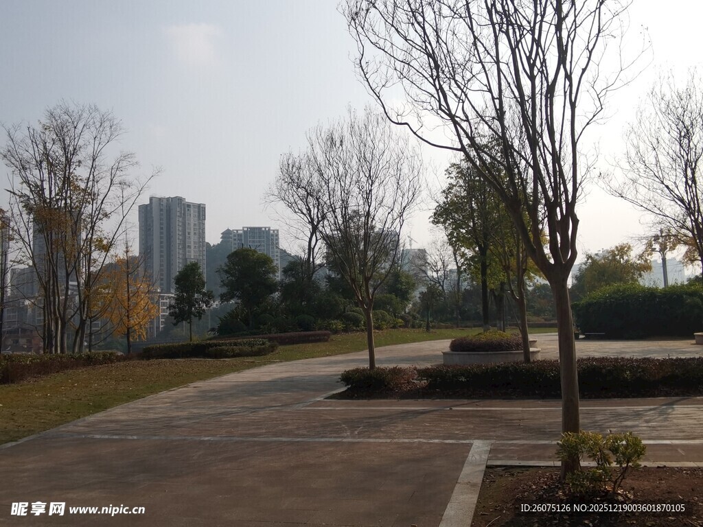 冬日公园空旷步道景象