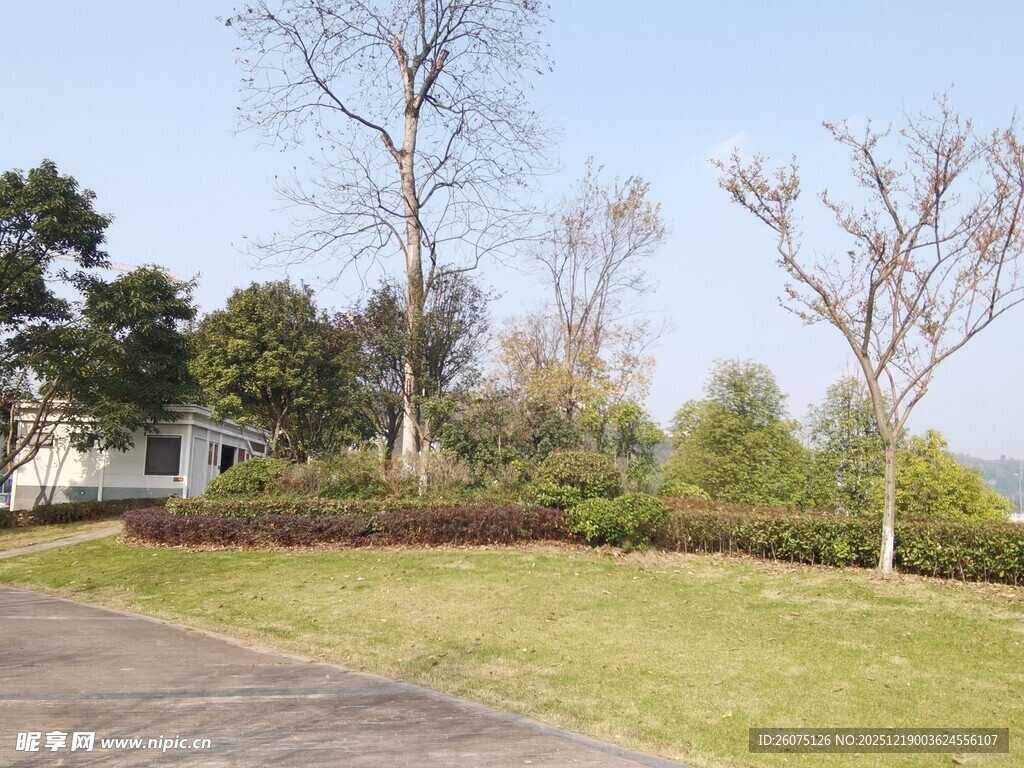 户外开阔草地与树木景观