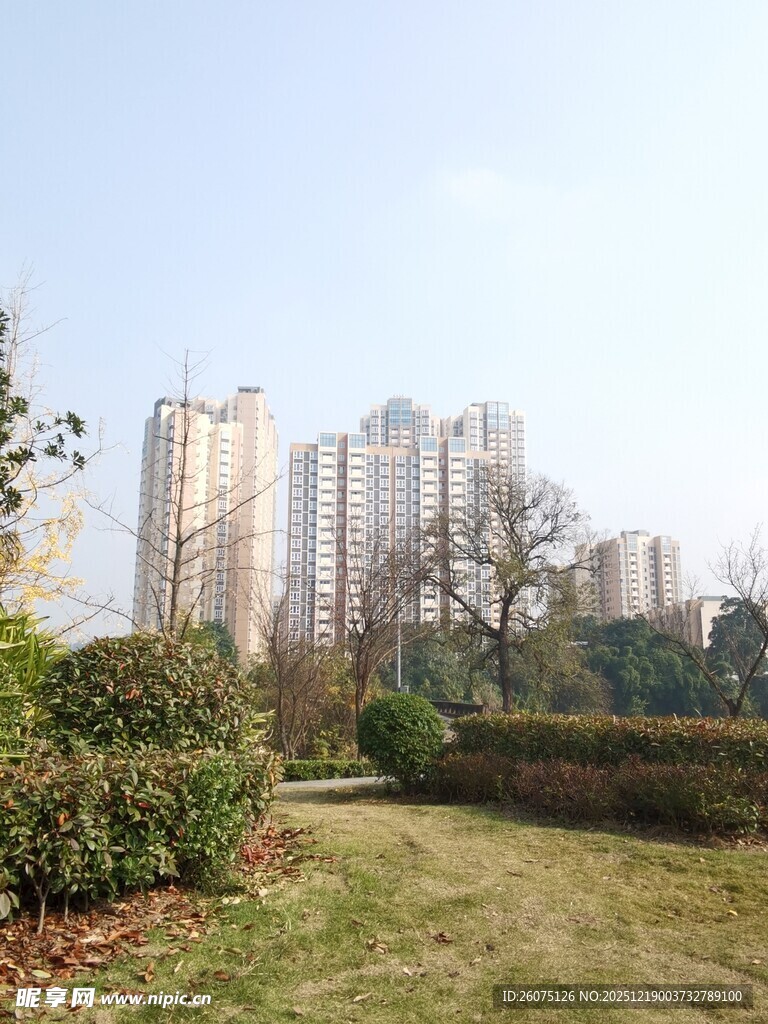 城市公园旁的高楼景观