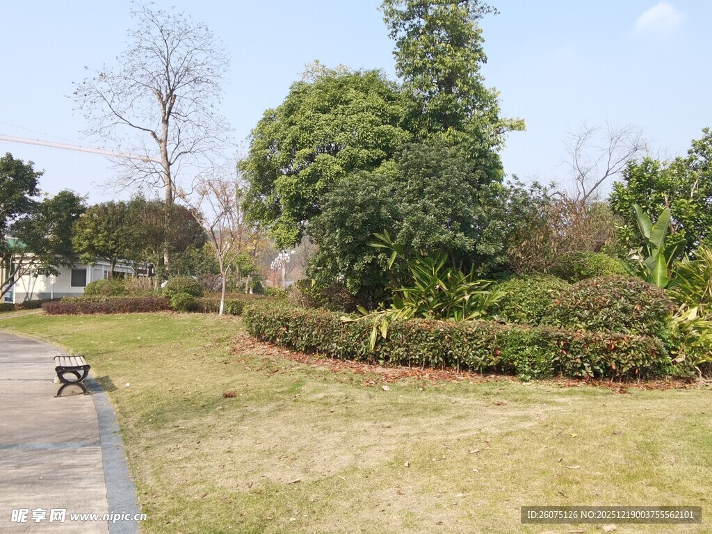 公园草地与绿植景观