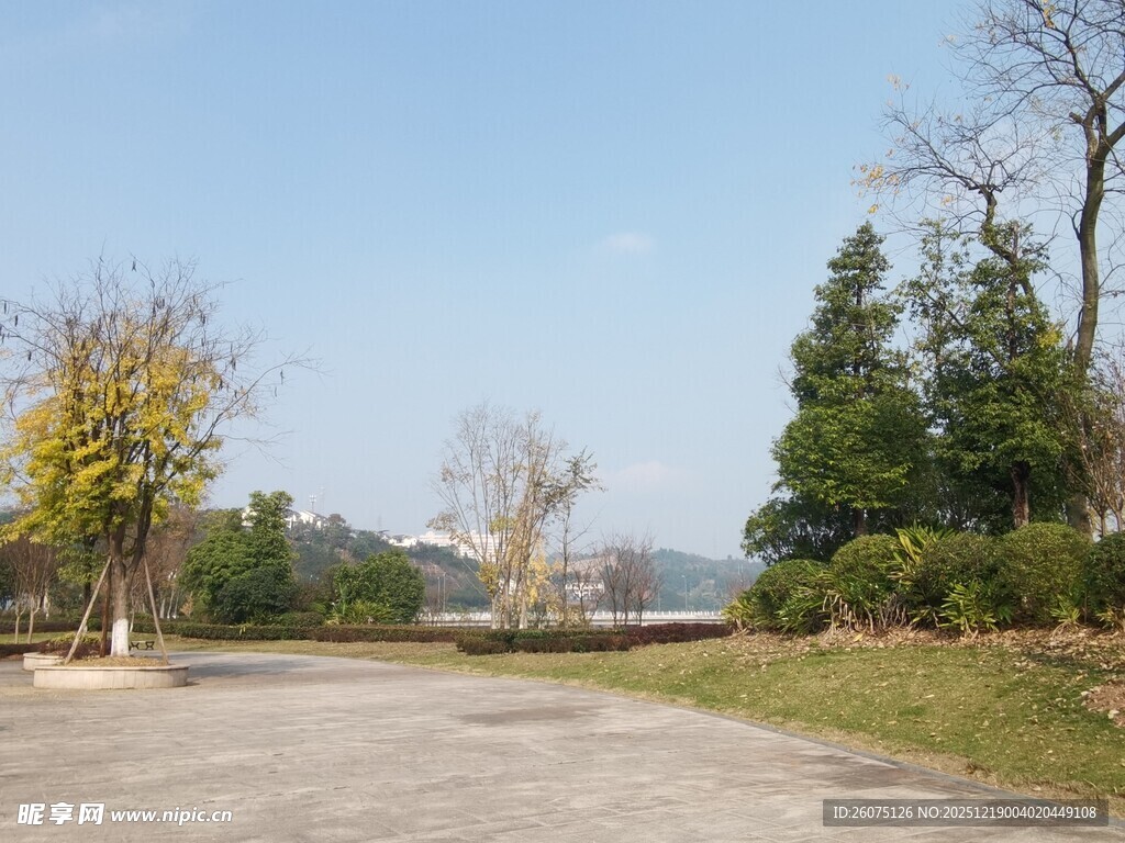 户外空旷场地与树木景观