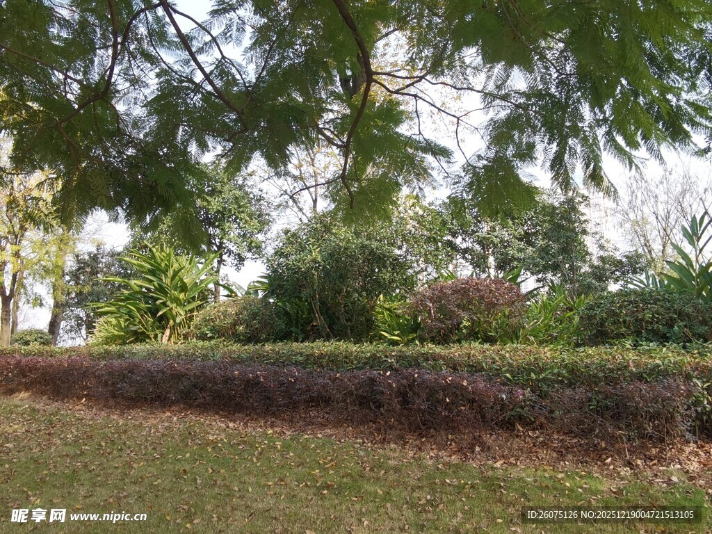 绿意盎然的户外园林景观